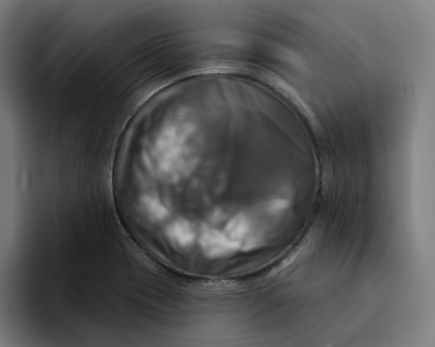 X0000094211417200711161819