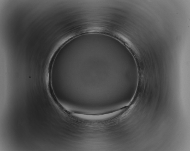 X0000094211418200711161819