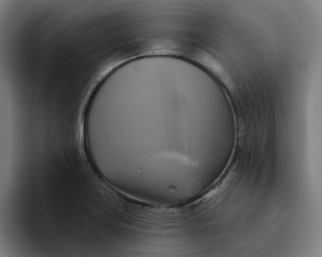 X0000094211419200711161819
