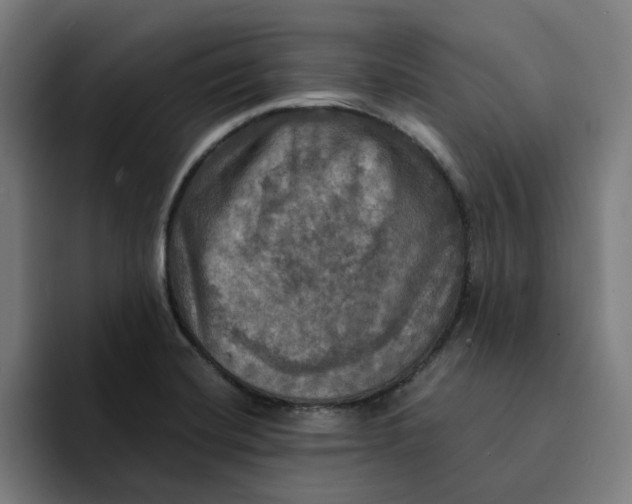 X0000094211420200711161819