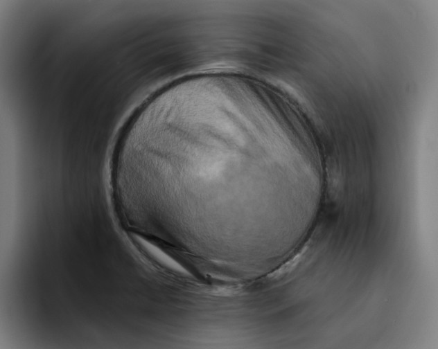 X0000094211422200711161820