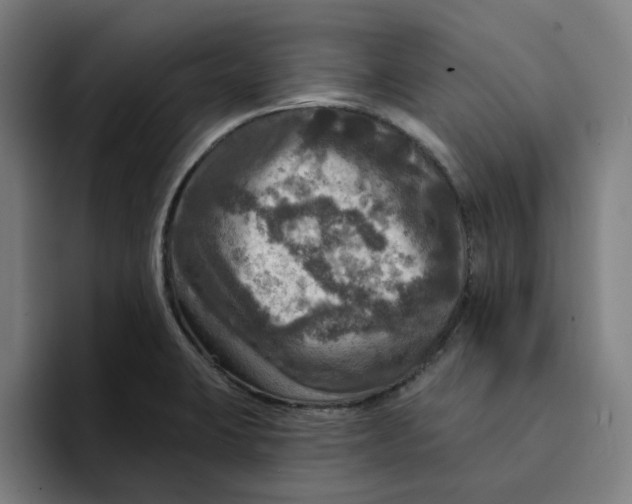 X0000094211423200711161820