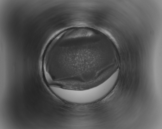 X0000094211424200711161820