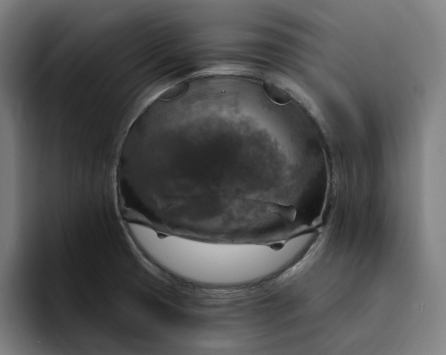 X0000094211425200711161820