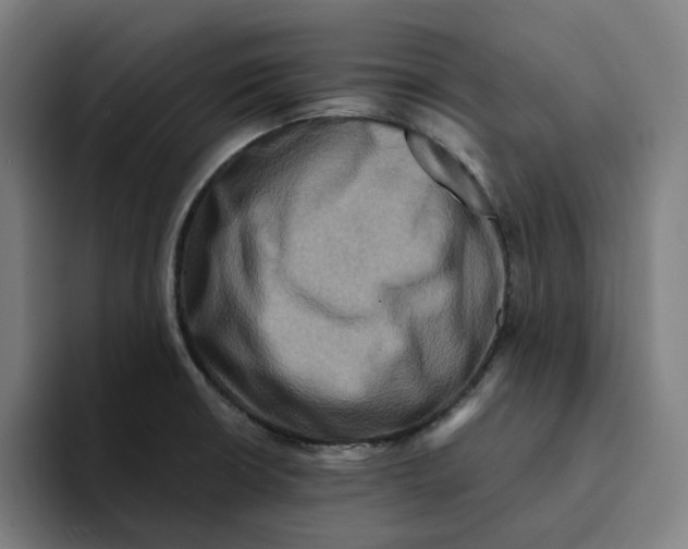 X0000094211426200711161820
