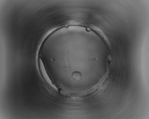 X0000094211427200711161820