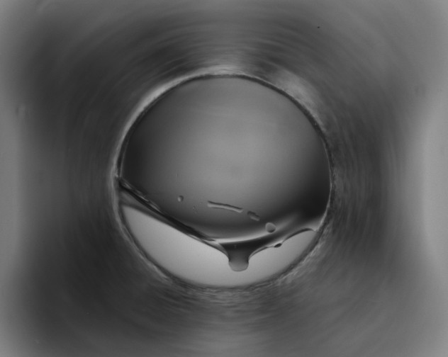 X0000094211428200711161820
