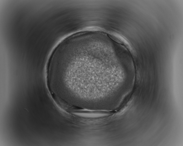X0000094211430200711161820