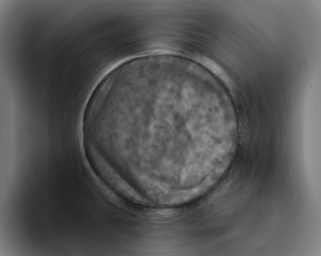 X0000094211431200711161820