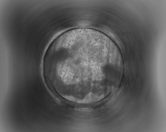 X0000094211432200711161820