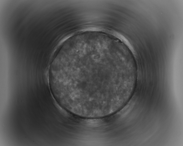 X0000094211433200711161820