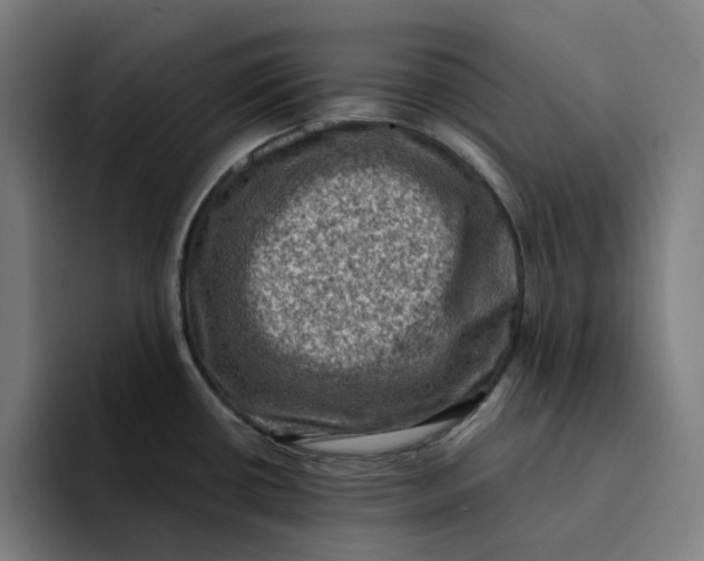 X0000094211434200711161820