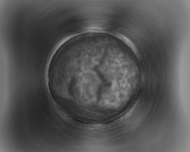 X0000094211435200711161820