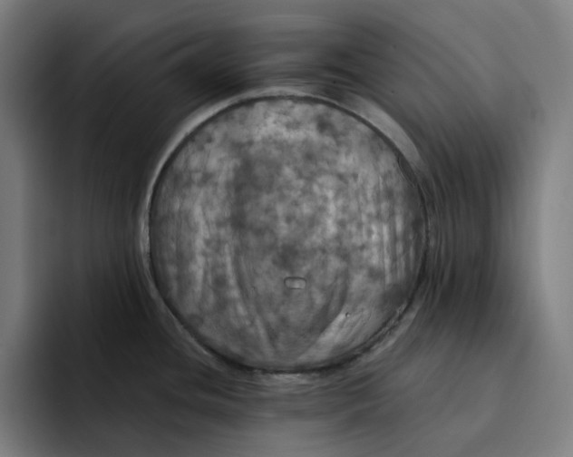 X0000094211436200711161820
