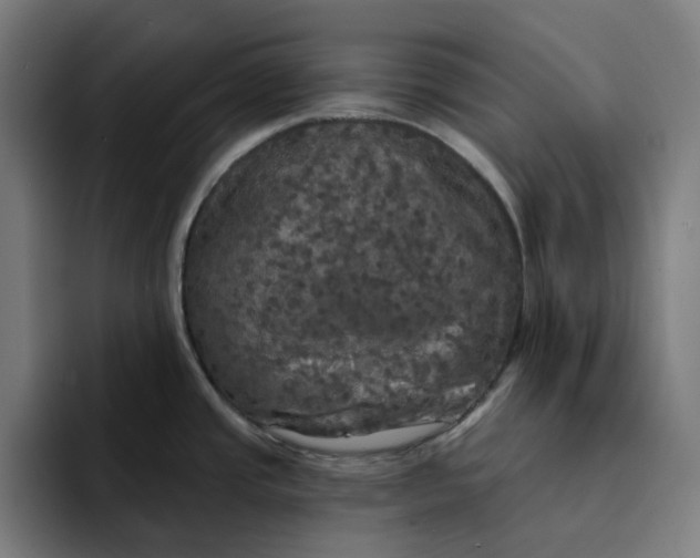 X0000094211437200711161820
