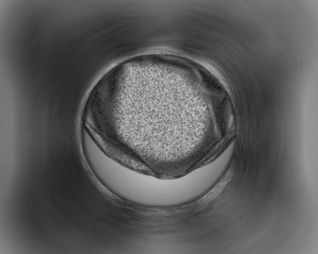 X0000094211438200711161820