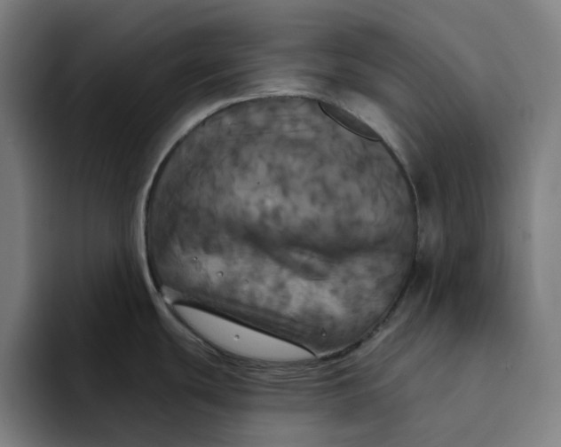 X0000094211439200711161820