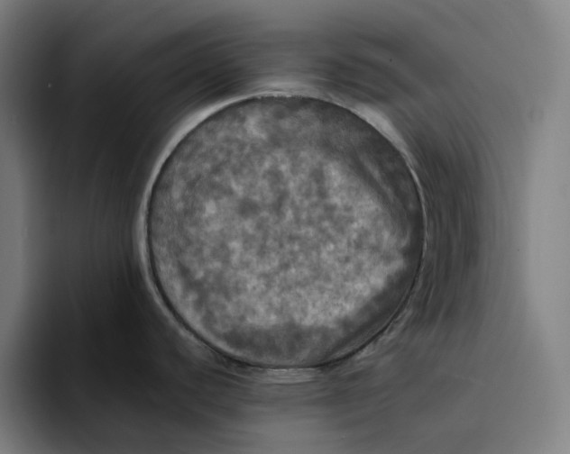 X0000094211440200711161820
