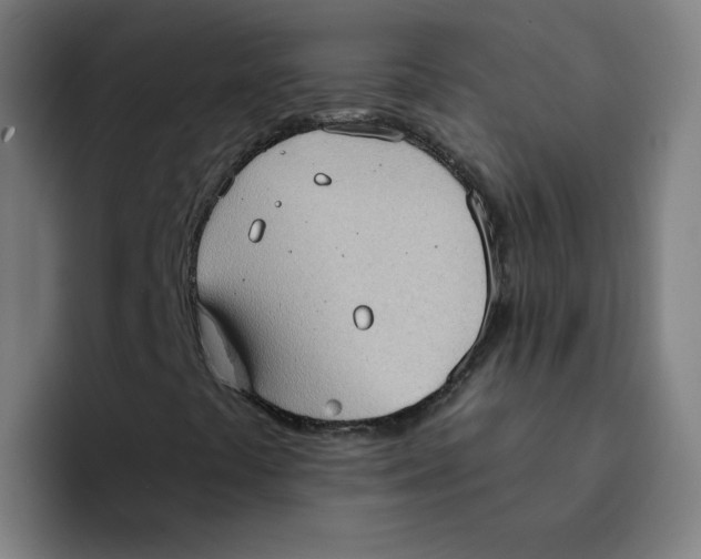 X0000094211441200711161819