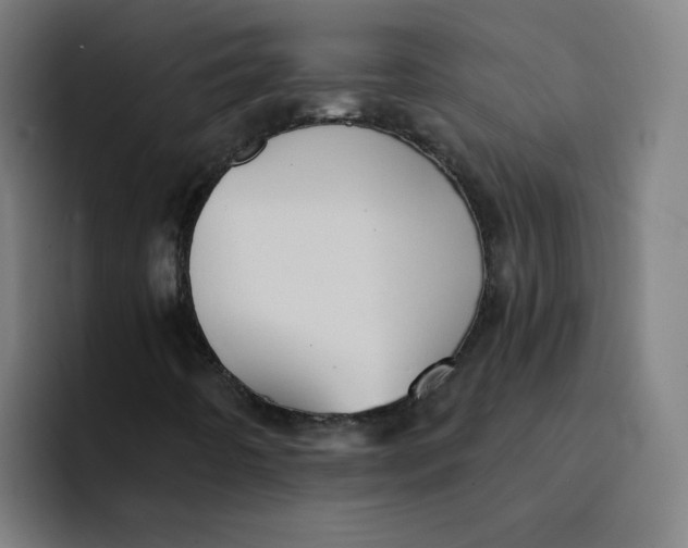X0000094211442200711161819