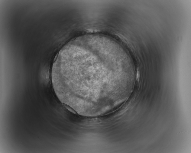 X0000094211444200711161819