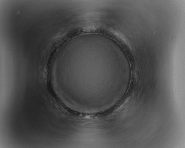 X0000094211445200711161819