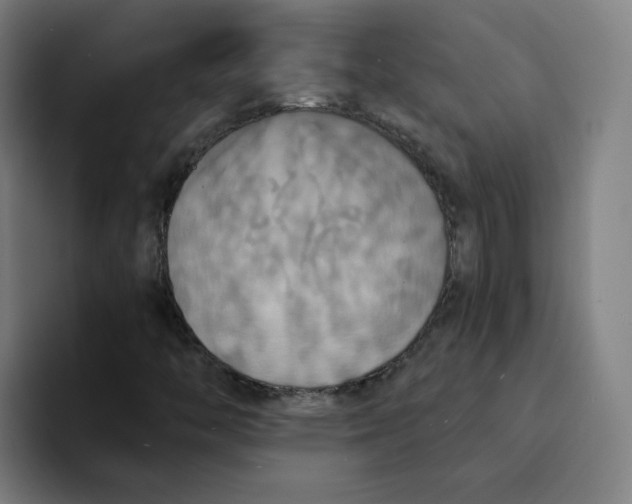 X0000094211446200711161819