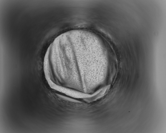 X0000094211447200711161819