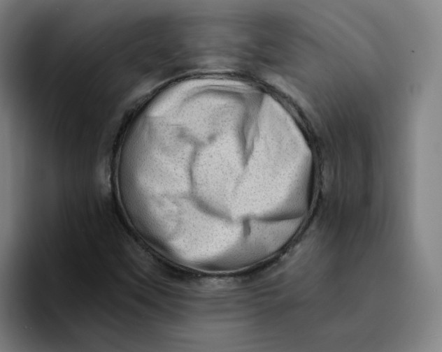 X0000094211451200711161819
