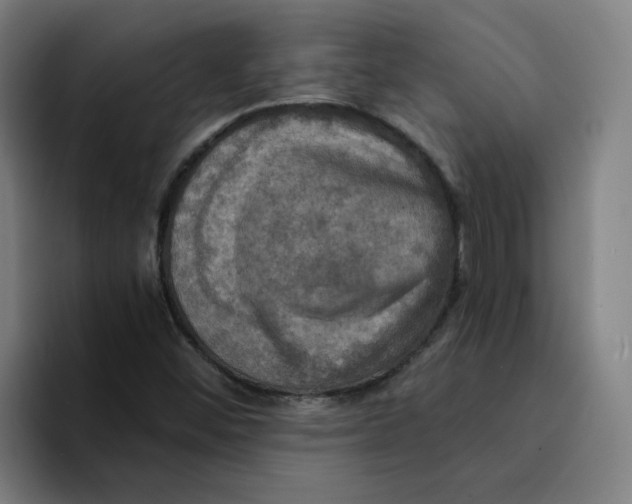 X0000094211452200711161819