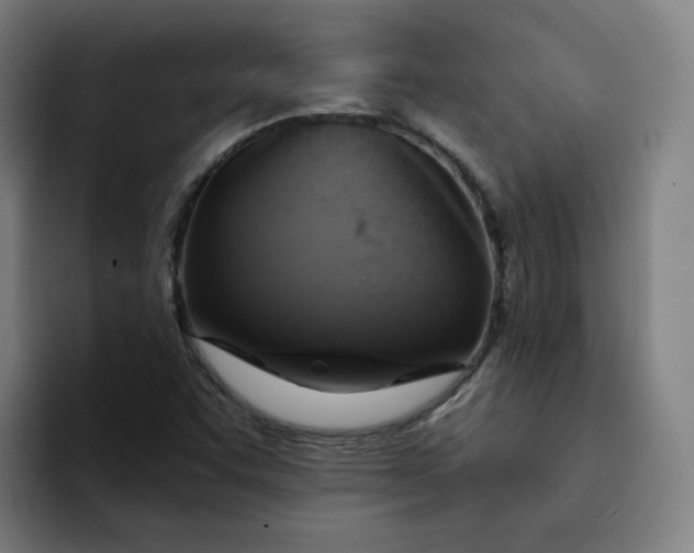 X0000094211455200711161819