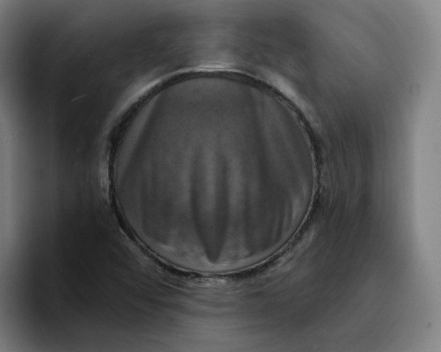 X0000094211456200711161819