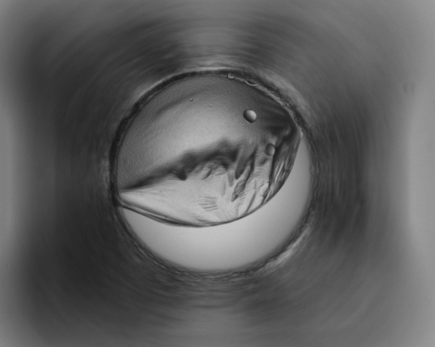 X0000094211457200711161819