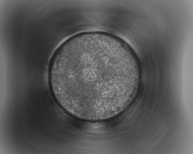 X0000094211460200711161819