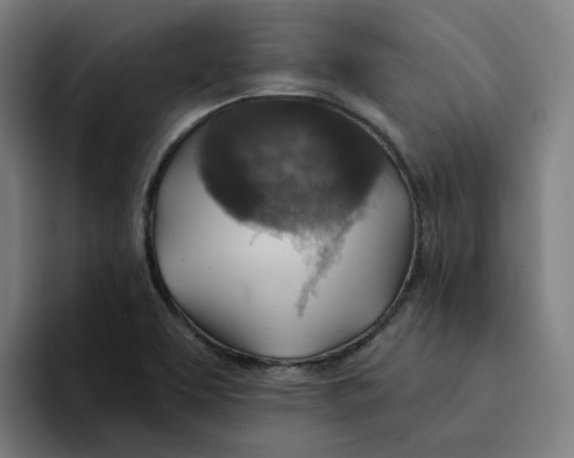 X0000094211463200711161819