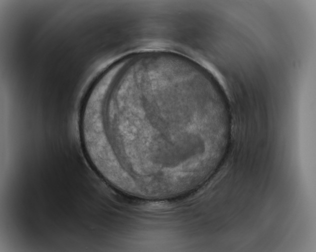 X0000094211464200711161819