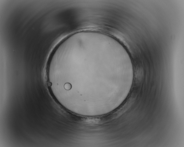 X0000094211466200711161819