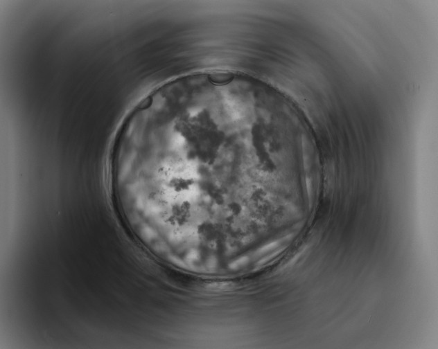 X0000094211467200711161819