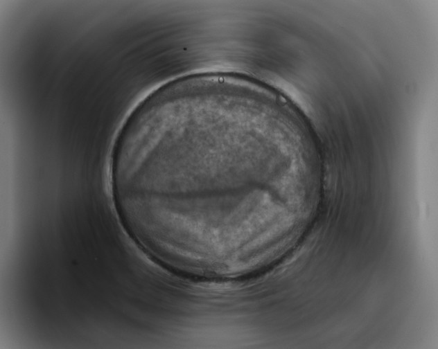 X0000094211468200711161819