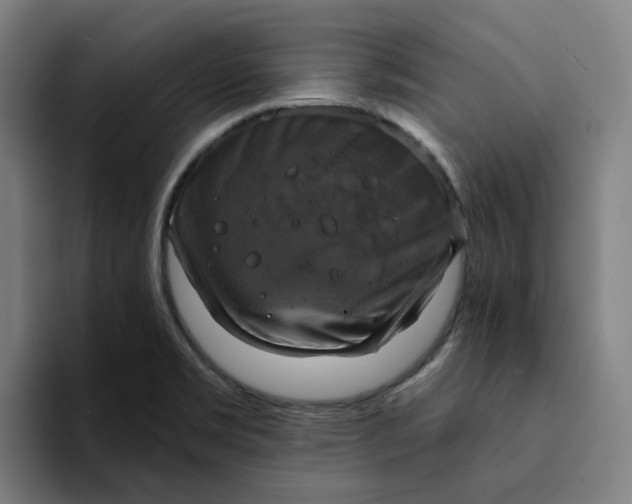 X0000094211469200711161819
