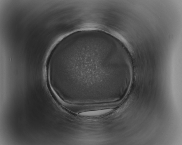 X0000094211472200711161819