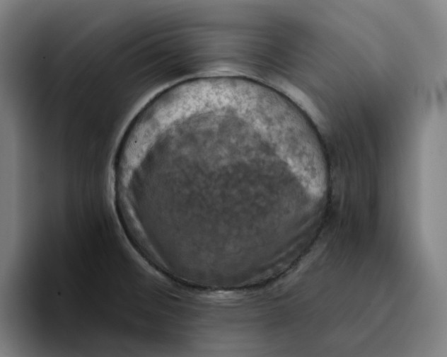 X0000094211476200711161819
