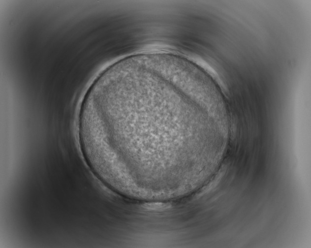 X0000094211478200711161819