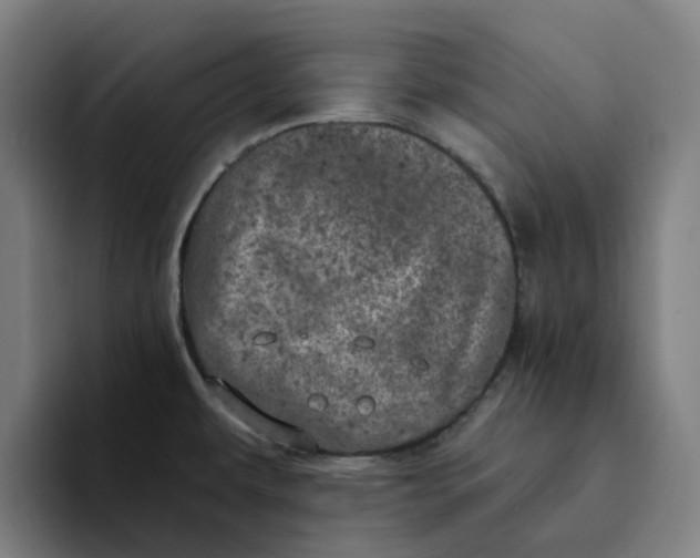 X0000094211479200711161819