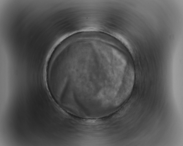 X0000094211480200711161819