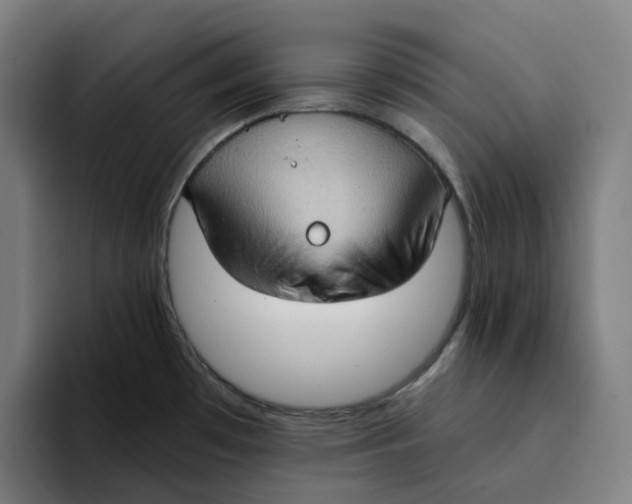 X0000094211481200711161819