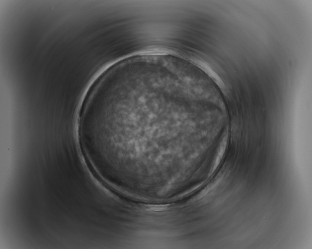 X0000094211484200711161819