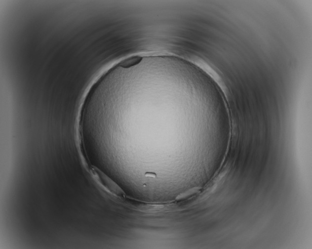 X0000094211485200711161819