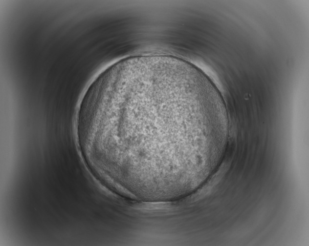 X0000094211486200711161819