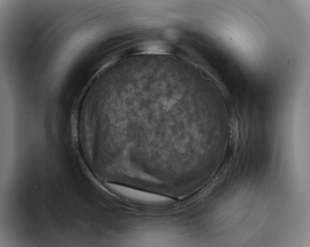 X0000094211487200711161819